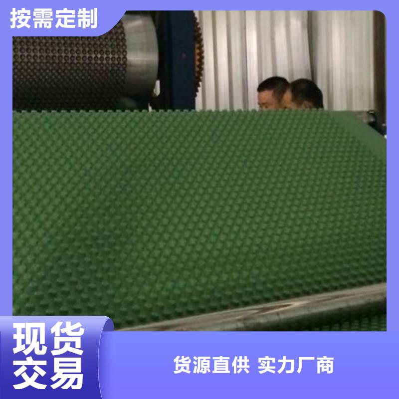 植草格视频- 植草格-朋联工程材料(武汉市分公司)服务区域汉南|黄陂|孝感|恩施|荆门|鄂州|十堰|咸宁
