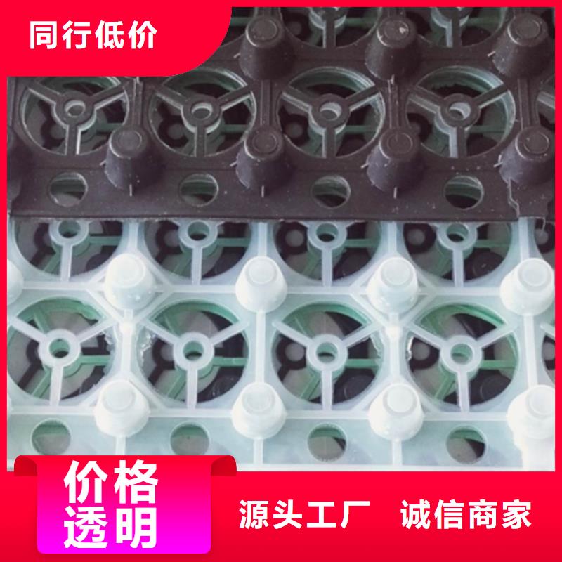 专业的生产厂家塑料排水板 【 植草格】每个细节都严格把关