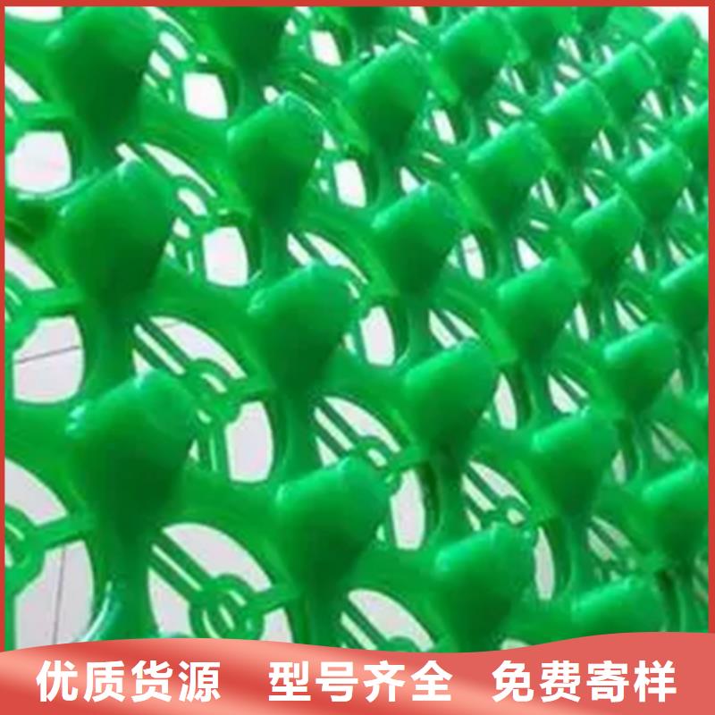 服务商【 塑料排水板 植草格一站式服务】