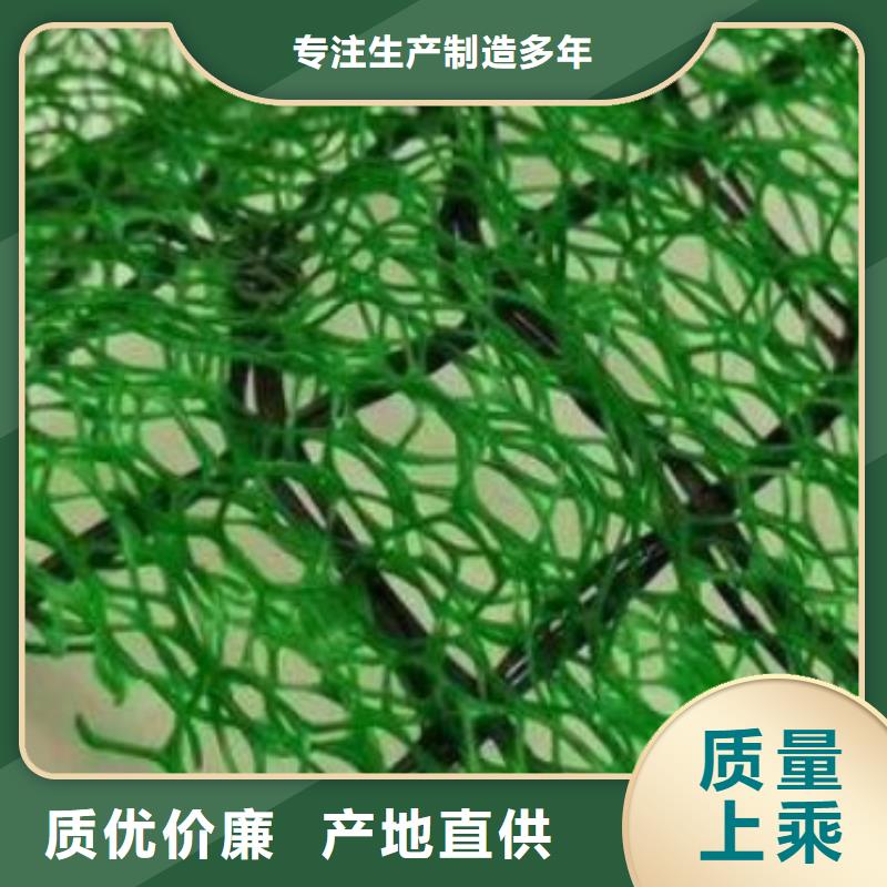 三维植被网防护虹吸排水收集系统工艺精细质保长久
