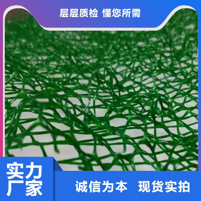 丽江品质三维植被网品牌推荐