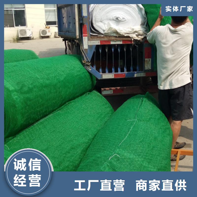 三维植被网植草格定制批发