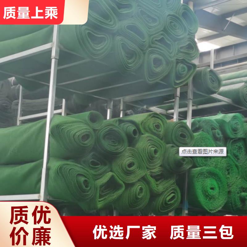 三维植被网 【防护虹吸排水收集系统】拒绝差价同城厂家