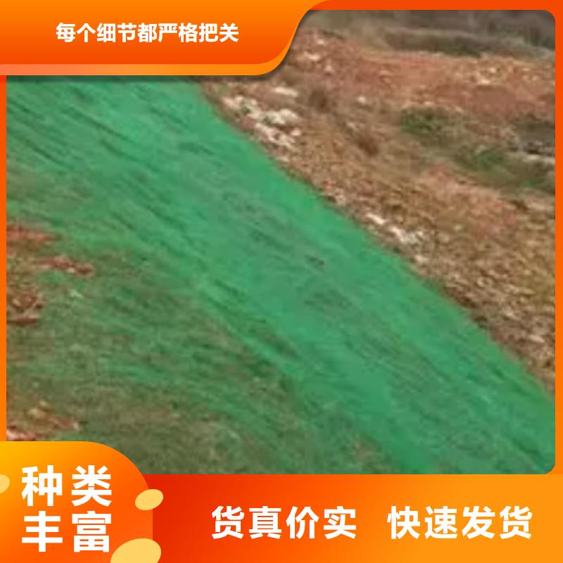 三維植被網(wǎng)水泥化糞池廠家精選
