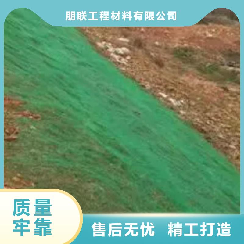 三维植被网 【防护虹吸排水收集系统】拒绝差价 朋联工程材料(淮安市分公司)