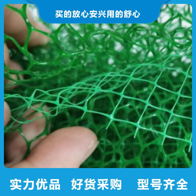 三维植被网价格@厂家