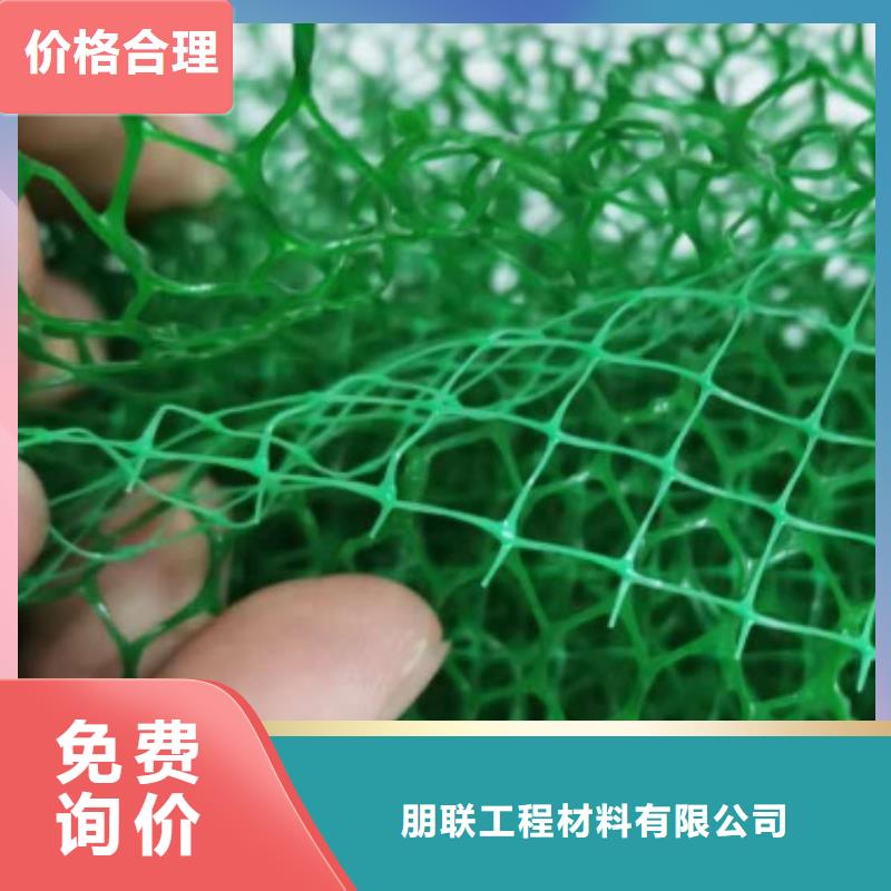 三维植被网排水板采购