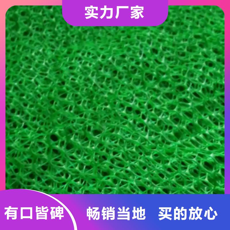 三維植被網(wǎng)植草格大廠生產(chǎn)品質(zhì)