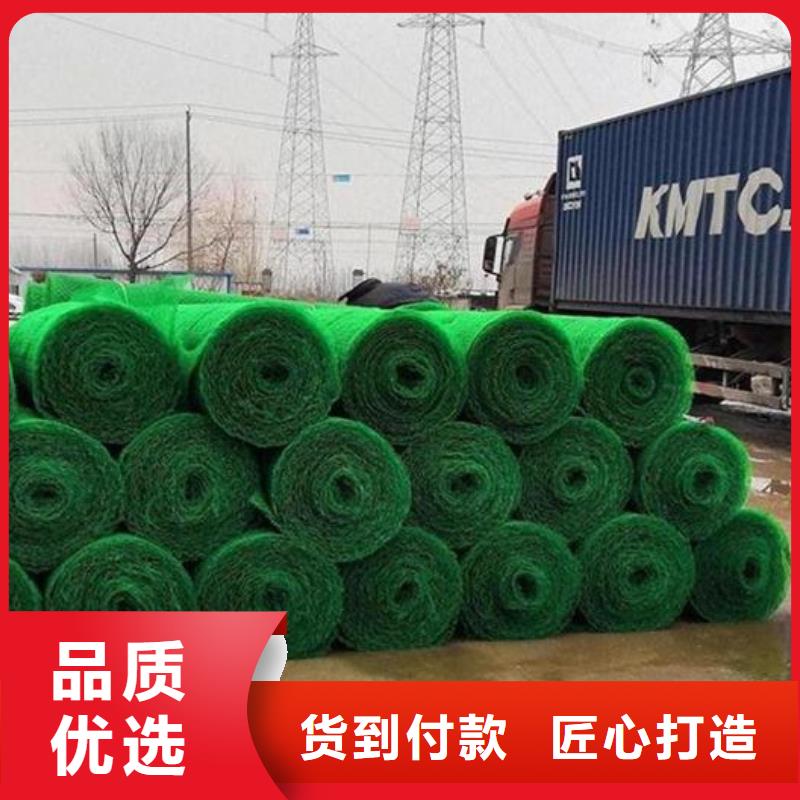 三维植被网排水板信誉有保证