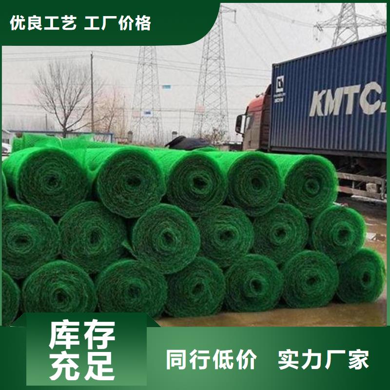 三维植被网价格@厂家