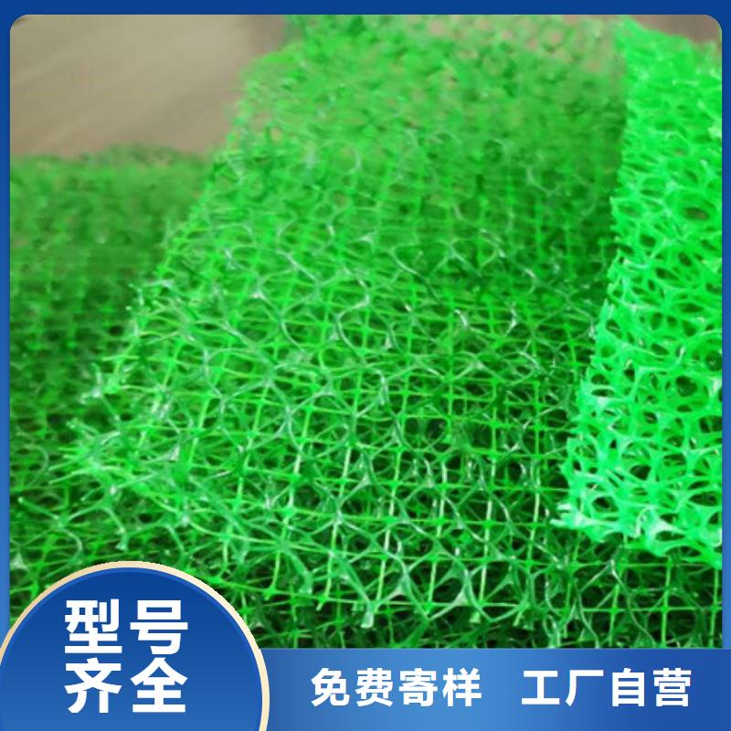 三維植被網_防護虹吸排水收集系統好貨有保障
