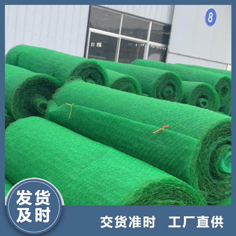 三维植被网,植草格来图来样定制