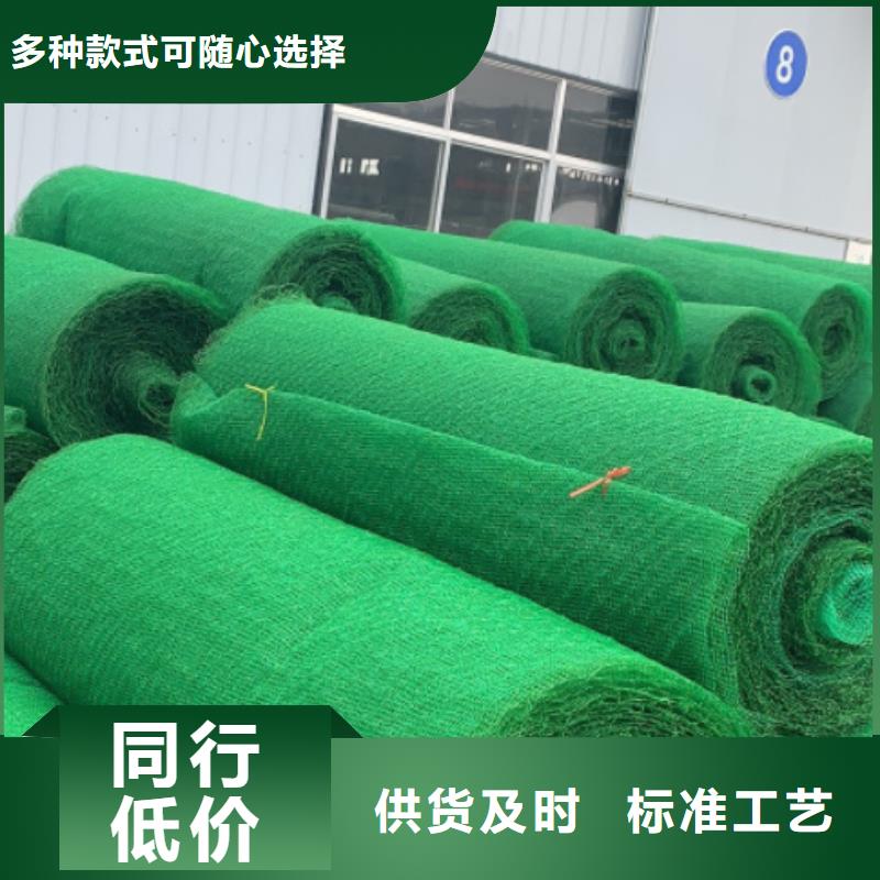 三维植被网-【 植草格】高质量高信誉