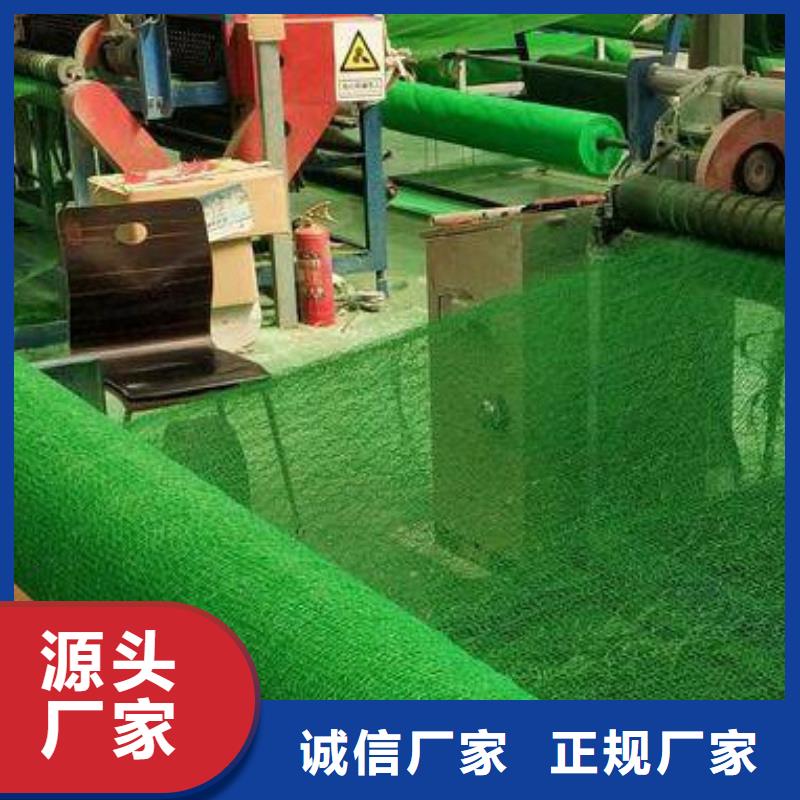 三维植被网-植草格厂家新品