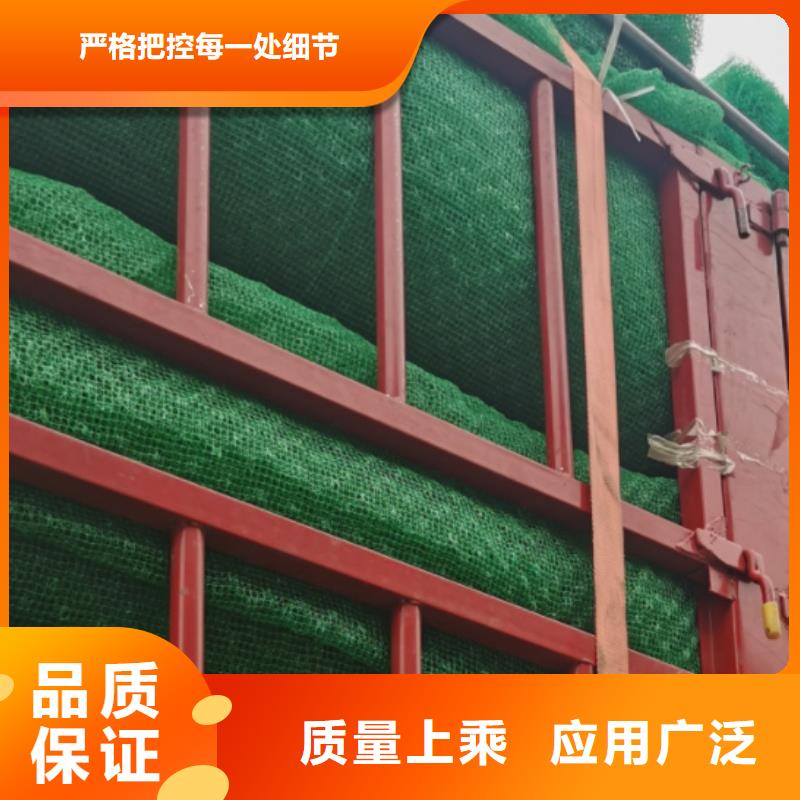三维植被网_防护虹吸排水收集系统好货有保障