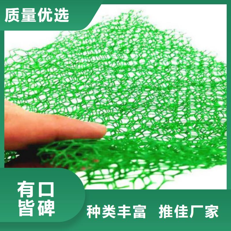 三维植被网 【防护虹吸排水收集系统】拒绝差价 朋联工程材料(淮安市分公司)