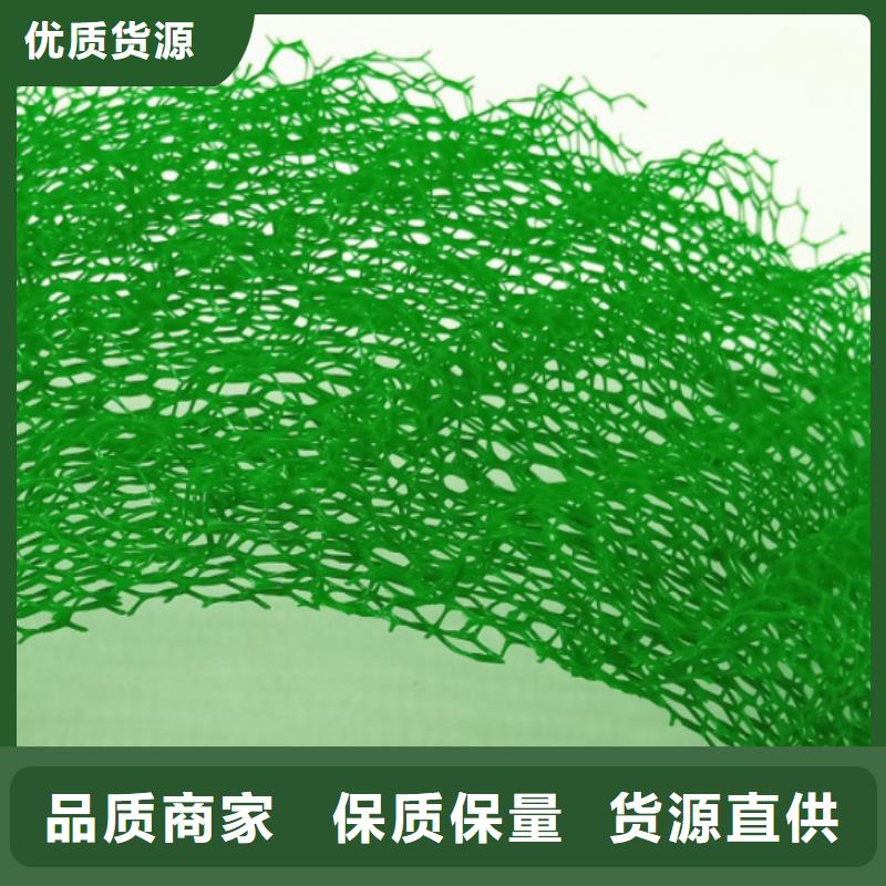 三维植被网防护虹吸排水收集系统工艺精细质保长久