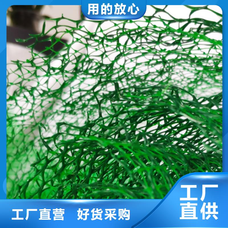 三维植被网三维土工网垫