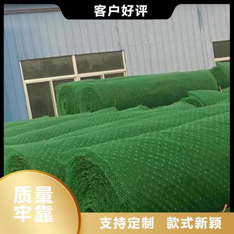 三维植被网-植草格厂家新品