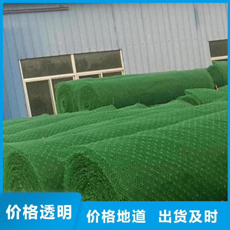 三维土工网垫品牌