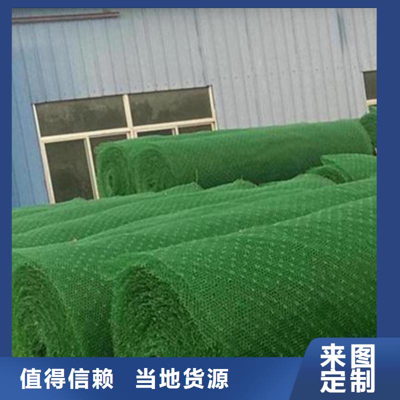 三维土工网垫多钱