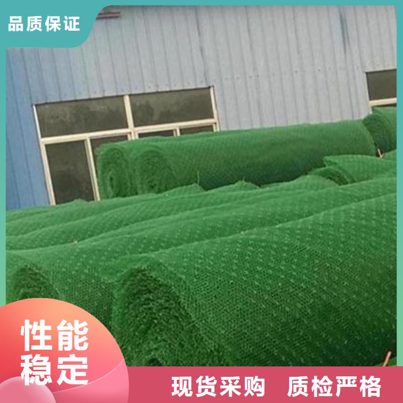 【潮州】生产三维植被网本地供货商