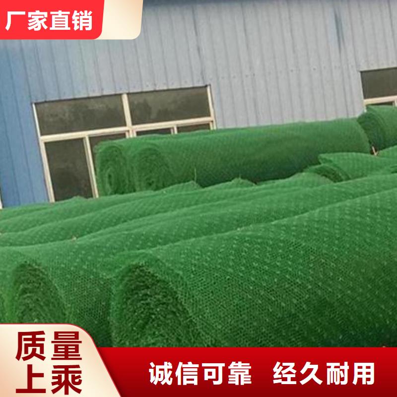 三维植被网,水泥化粪池实力工厂