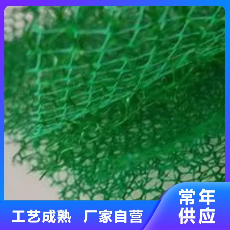 三维植被网防护虹吸排水收集系统工艺精细质保长久