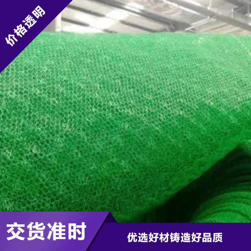 三维植被网,植草格来图来样定制