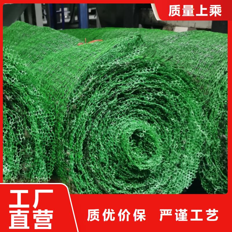 【三维植被网】防护虹吸排水收集系统专注质量