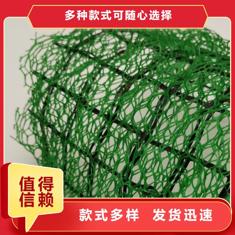 三维植被网,水泥化粪池信誉有保证