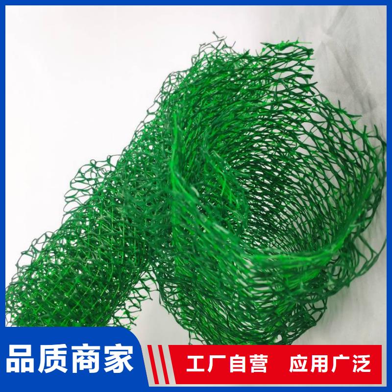 三维植被网_防护虹吸排水收集系统好货有保障