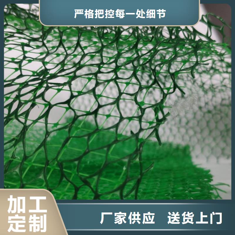 三維植被網護坡土工網廠家