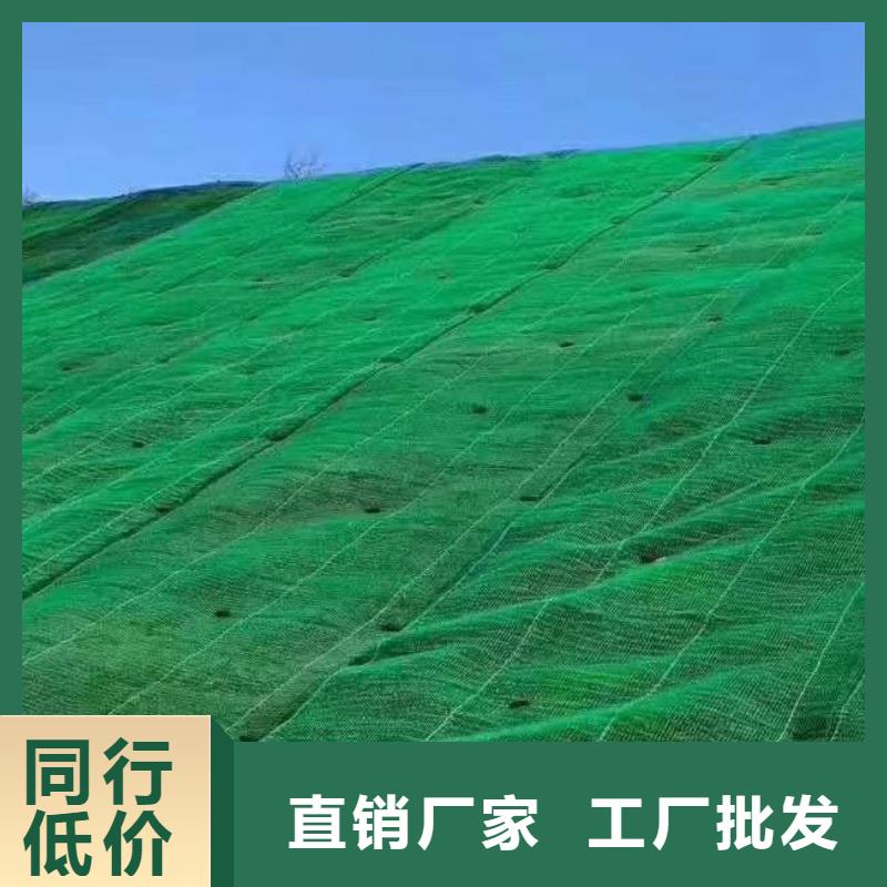 三维植被网_排水板现货采购