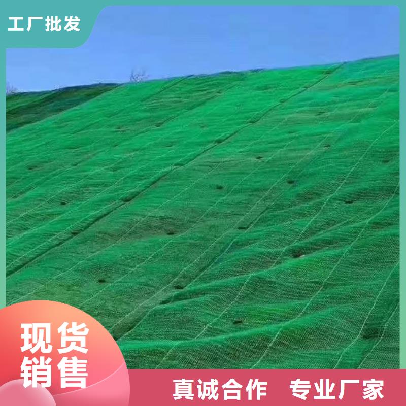 三维植被网 【防护虹吸排水收集系统】拒绝差价同城厂家