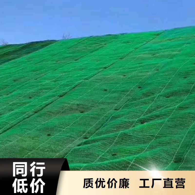 三维植被网本地供货商