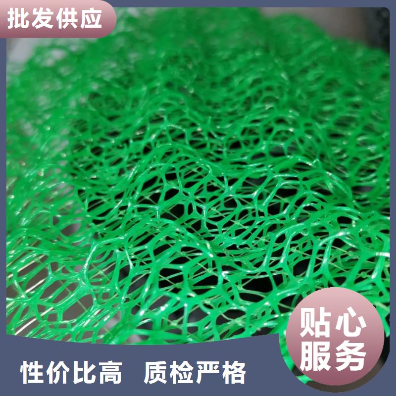三维植被网护坡土工网厂家