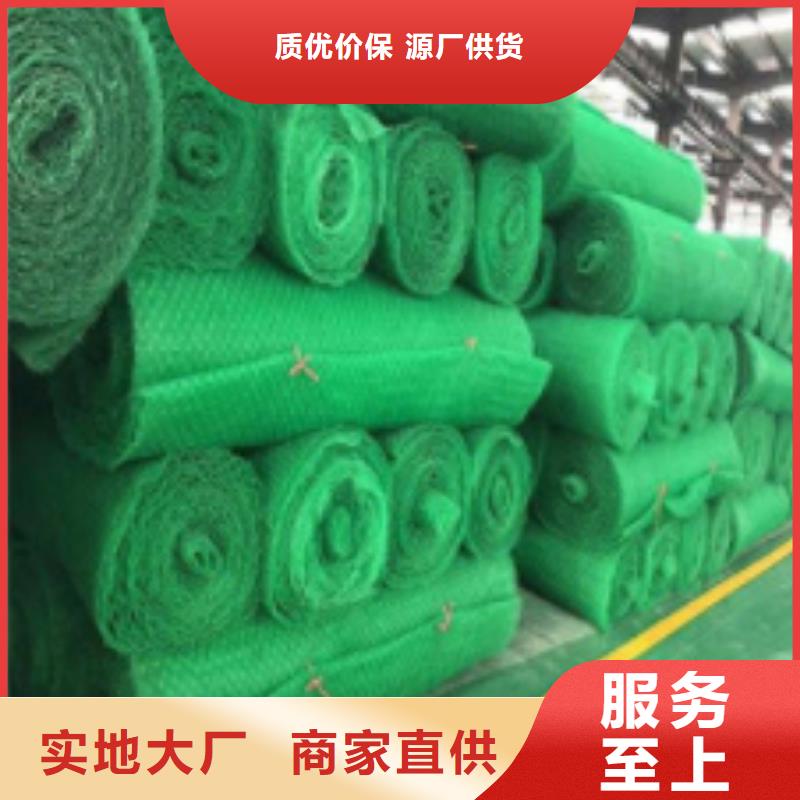 三维植被网,水泥化粪池实力工厂