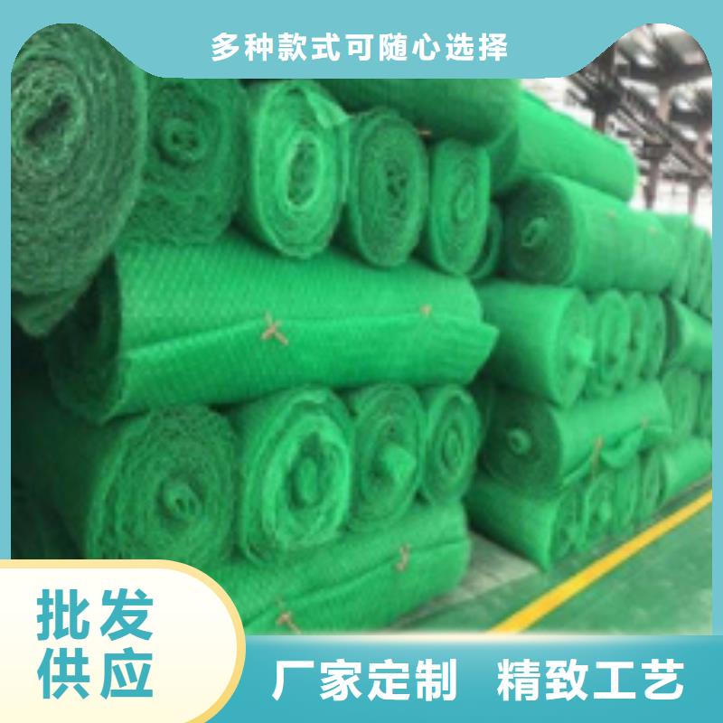 三维土工网垫品牌