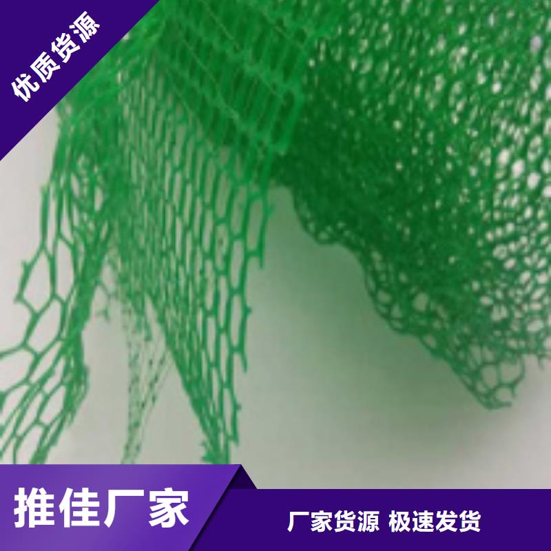 三维植被网 【防护虹吸排水收集系统】拒绝差价同城厂家