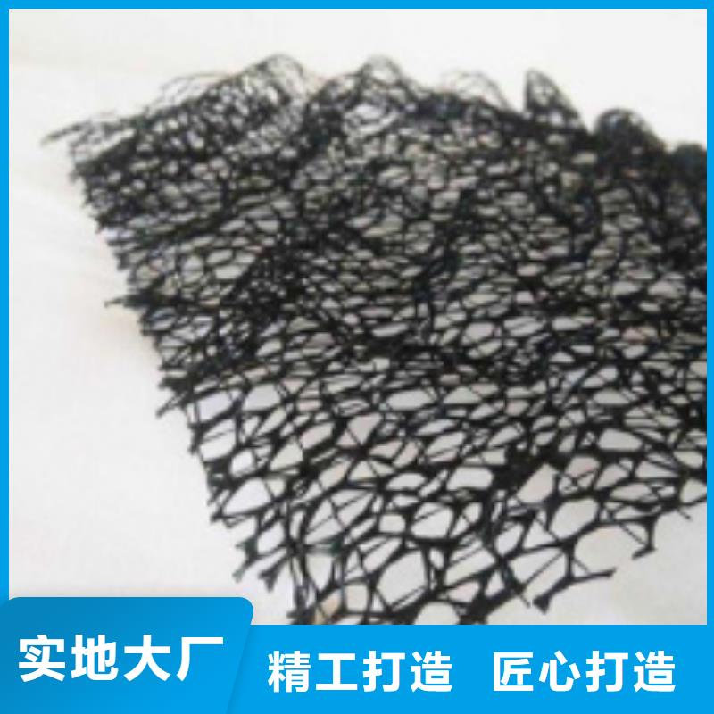 三维植被网 【防护虹吸排水收集系统】拒绝差价 朋联工程材料(淮安市分公司)
