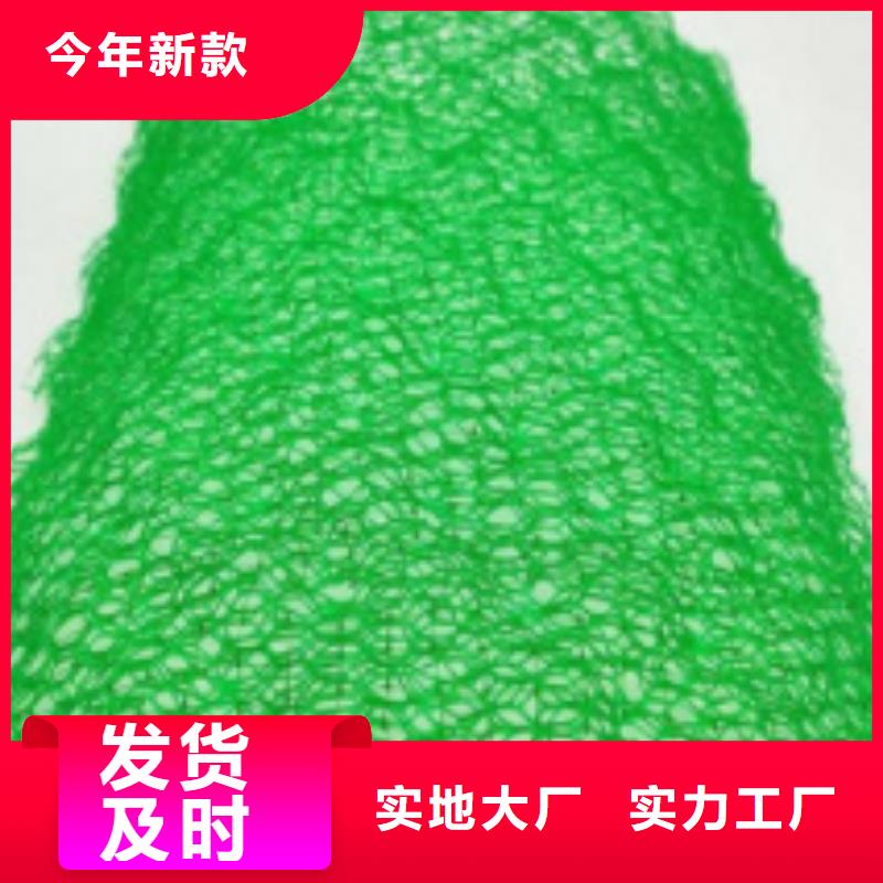 三维植被网排水板质量无忧
