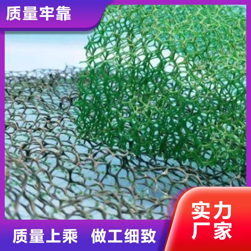 三维植被网防护虹吸排水收集系统信誉有保证