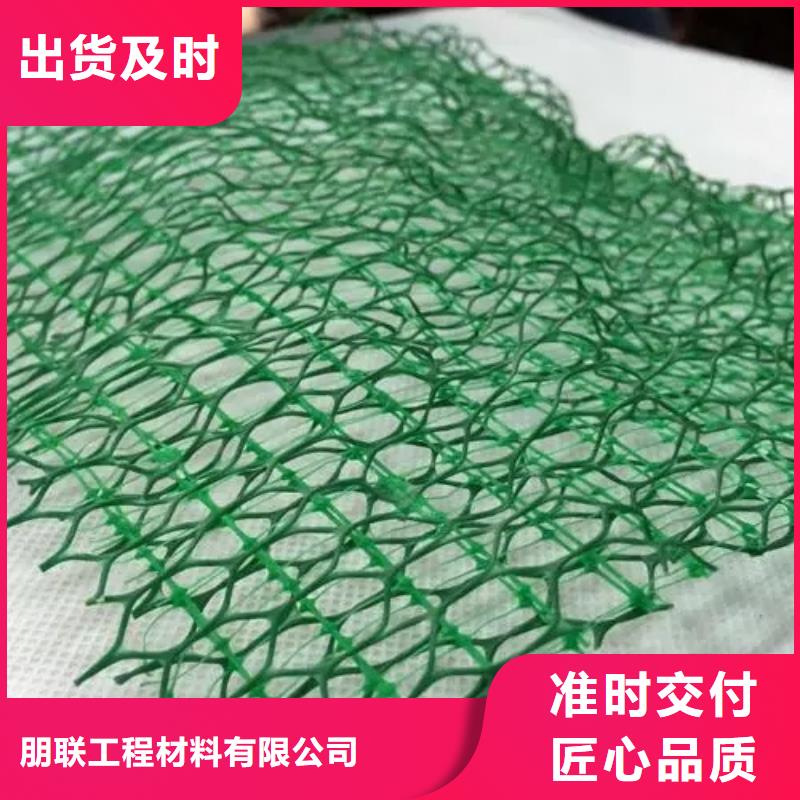 三维植被网三维土工网垫