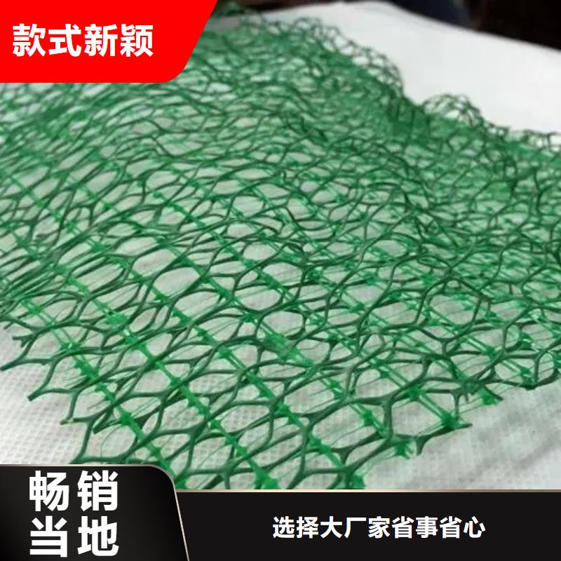 三维植被网,植草格来图来样定制