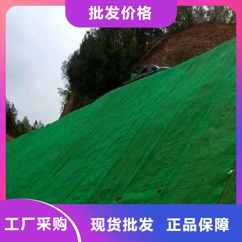 三维植被网护坡土工网厂家