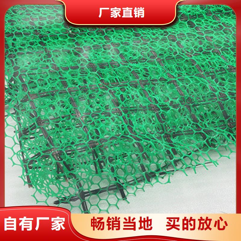 【潮州】销售三维植被网 【潮州】销售三维土工网垫