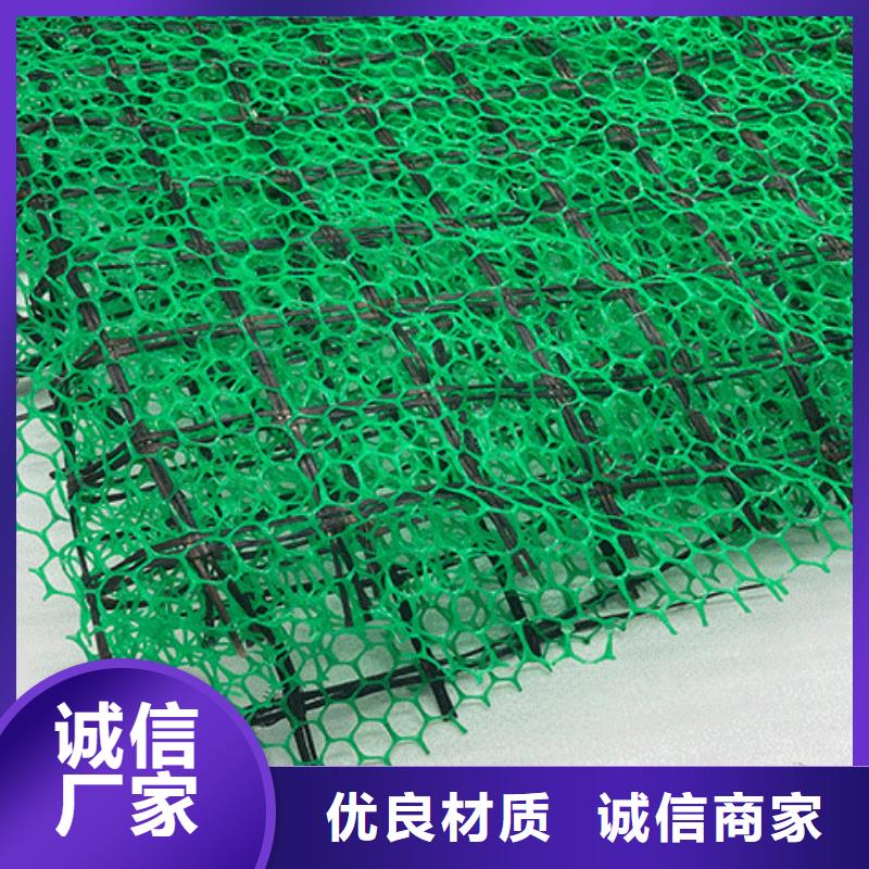 三维植被网_防护虹吸排水收集系统好货有保障