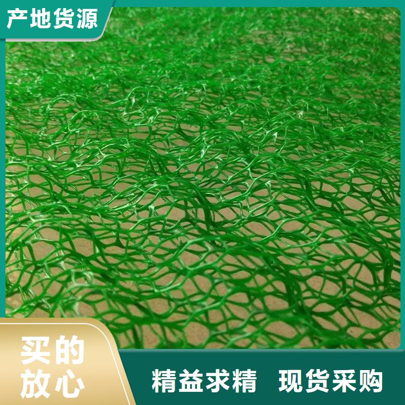 温州当地三维植被网品牌推荐