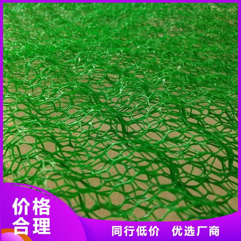 三维植被网植草格定制批发